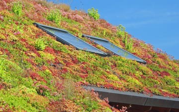 Sandford On Thames living roof systems